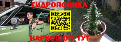 прущие крисы Конаково