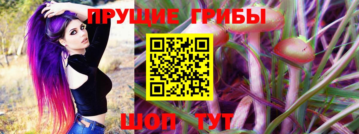 Галлюциногенные грибы Psilocybe  Псилоцибиновые грибы GOLDEN TEACHER  Вход с VPN  Ишим 